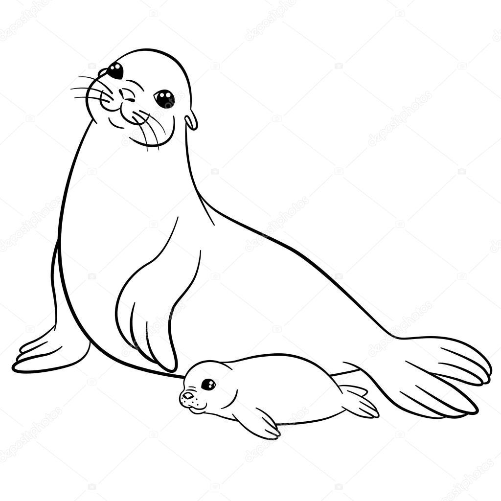 1024x1024 Coloring Pages. Mother Seal With Her Little Cute Baby. Stock