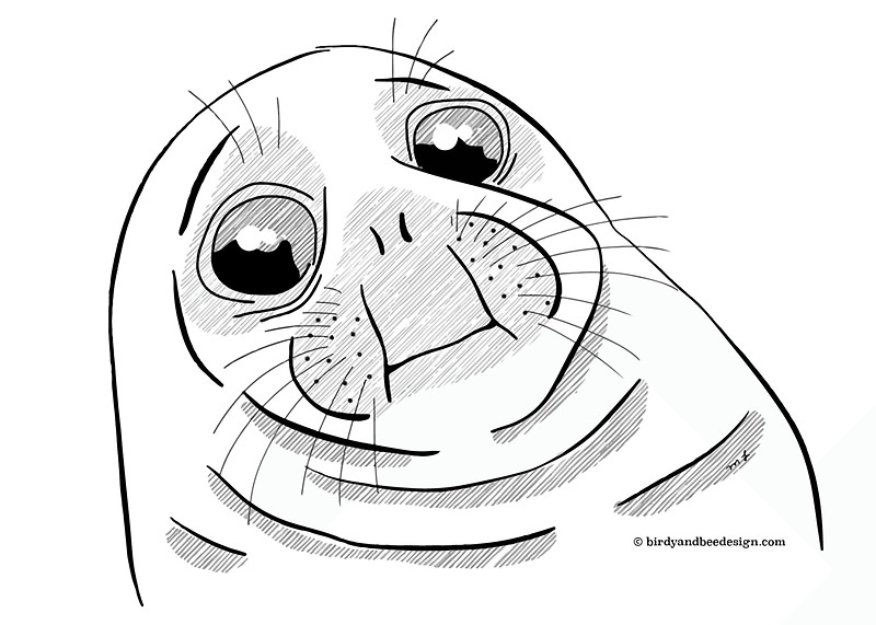 800x571 Awkward Seal Meme Cute Illustration Stickers By Birdyandbee