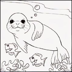 236x236 Clipart White Baby Seal Royalty Free Vector Design Paper