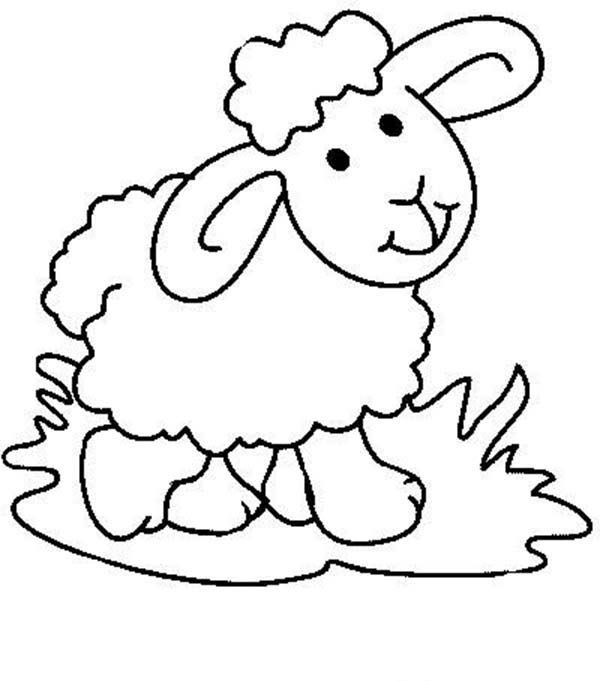 600x681 Cute Sheep Coloring Pages