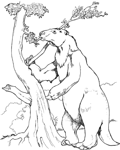 386x480 Prehistoric Giant Ground Sloth Coloring Page Free Printable