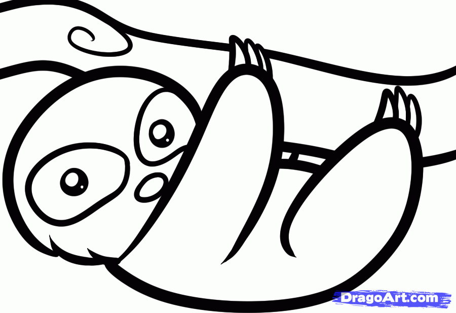 900x617 Sloth ) To Draw