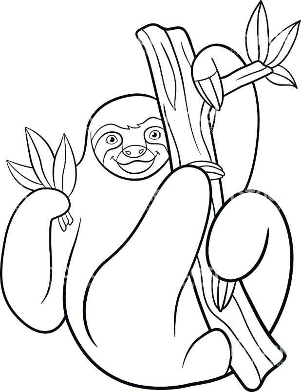 618x803 Sloth Coloring Page Kids Drawing Of Sloth Coloring Page Printable