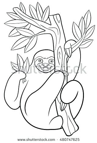 318x470 Two Toed Sloth Coloring Page Pages Cute Lazy Hangs On The Tree
