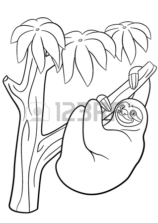 318x450 Coloring Page. Little Cute Baby Sloth Hangs On The Tree Branch