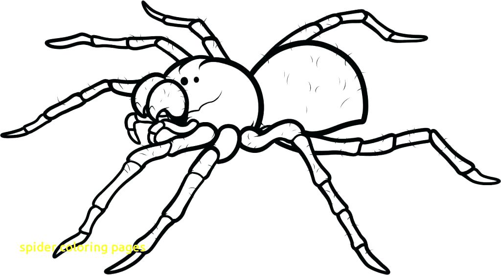1024x563 Spider Coloring Page Funny Spider Coloring Page Printable Spider