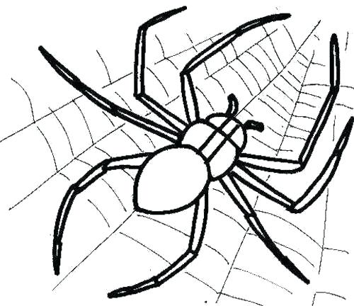 500x432 Spider Coloring Pages Free Printable Web And Page Cute Best