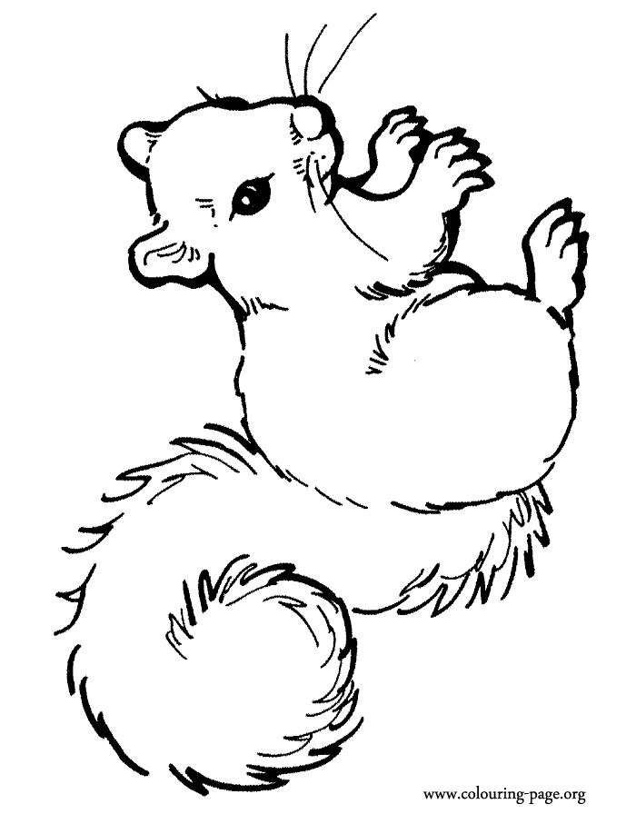 700x896 A Beautiful Squirrel Coloring Page Recipes Amp Party Ideas