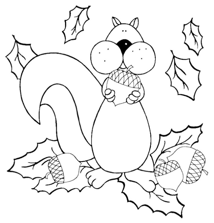750x783 Squirrel Coloring Pages