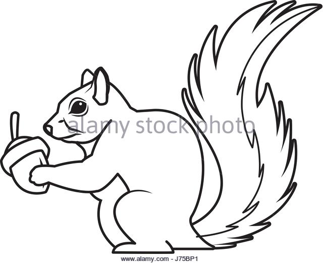 640x523 Squirrel Nut Stock Vector Images