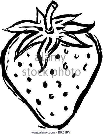 415x540 Coloring Pages Cute Drawing A Strawberry Black And White Of One