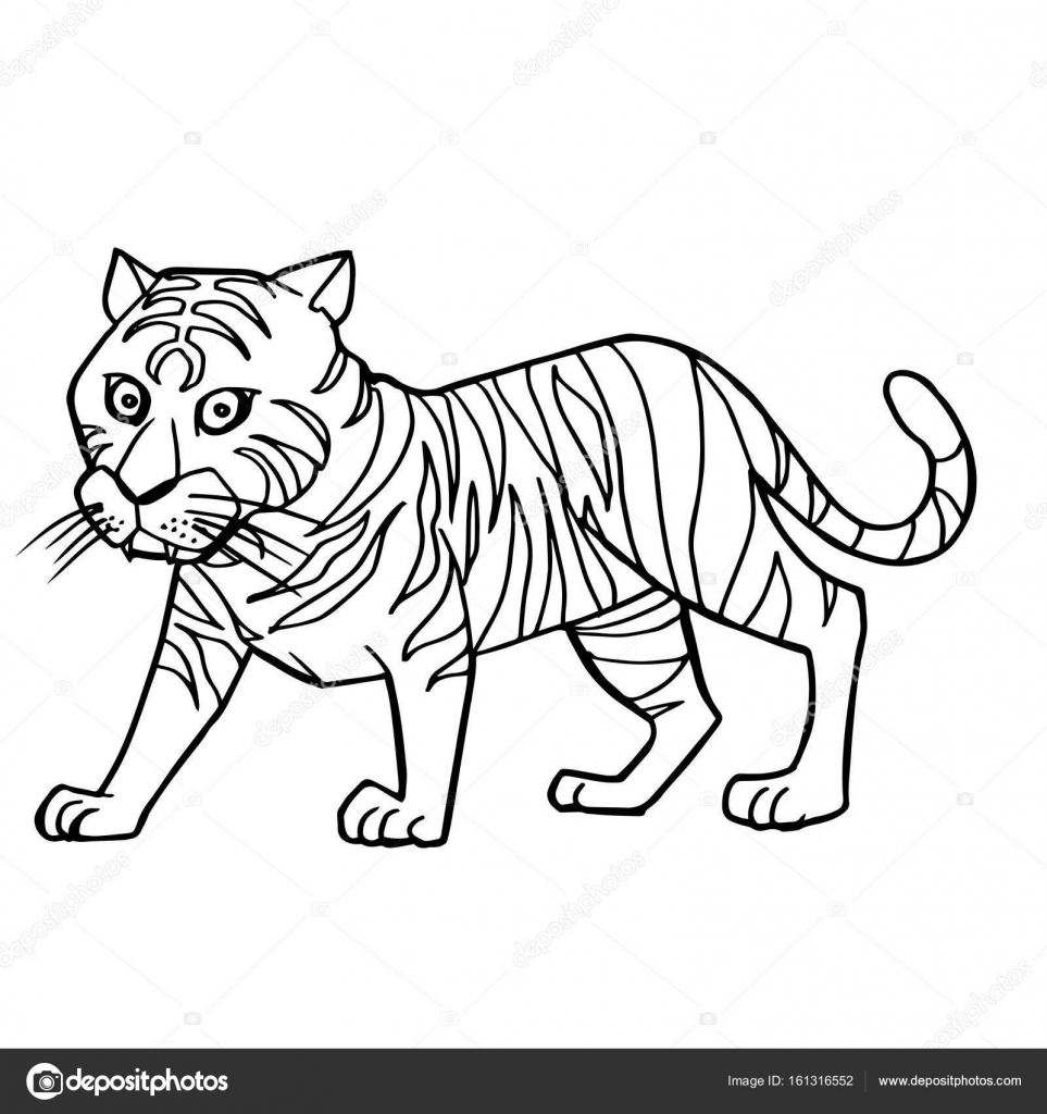 963x1024 Cartoon Cute Tiger Coloring Page Vector Stock Vector
