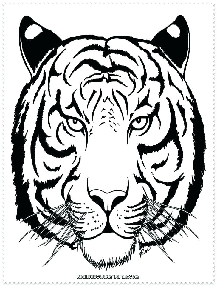 728x958 Cute Tiger Coloring Pages
