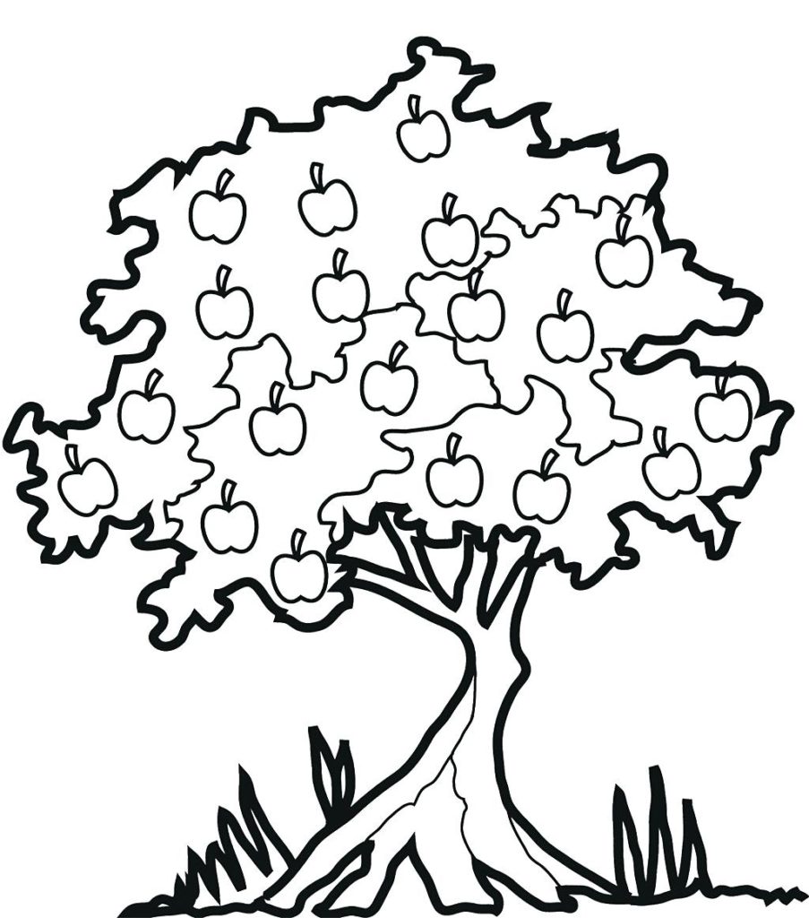 903x1024 Tree Coloring Pages For Adults Geekbits Org Cute With Leaves
