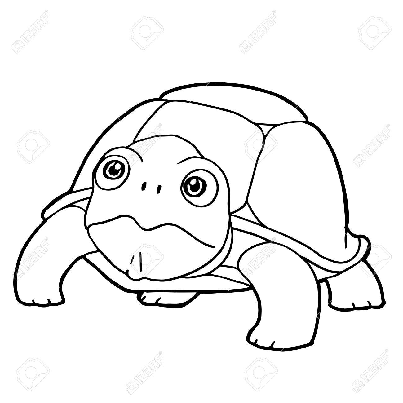 1300x1300 Cartoon Cute Turtle Coloring Page Vector Illustration Royalty Free