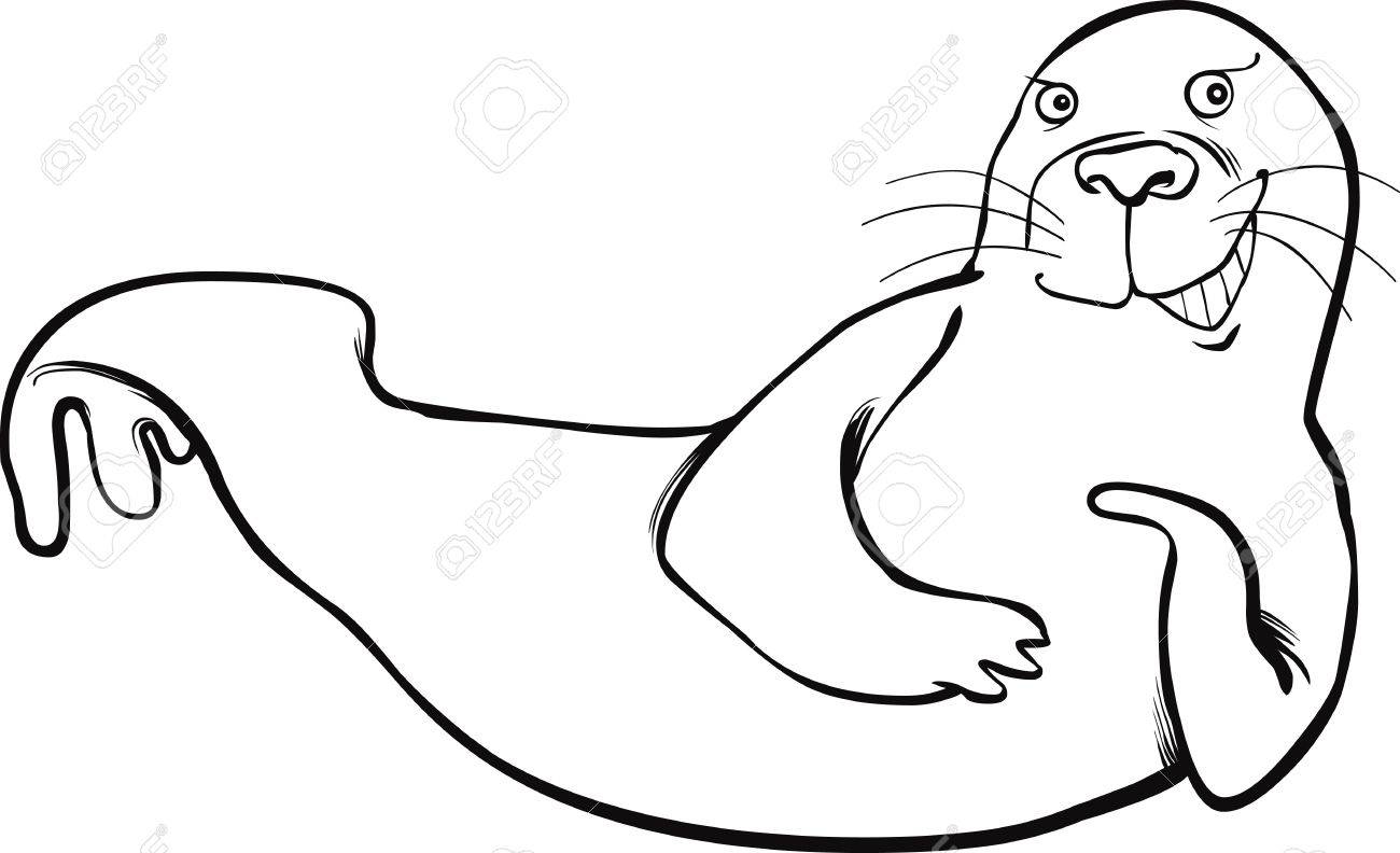1300x792 Funny Seal Coloring Page Royalty Free Cliparts, Vectors, And Stock