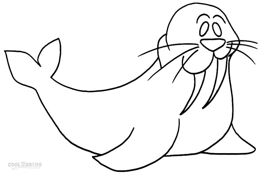 850x567 Printable Walrus Coloring Pages For Kids Cool2bkids