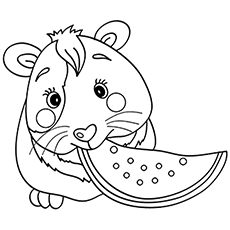 230x230 Top 25 Free Printable Guinea Pig Coloring Pages Online