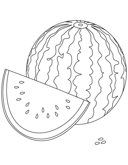 420x542 Watermelon Coloring Page Download Free Watermelon Coloring Page