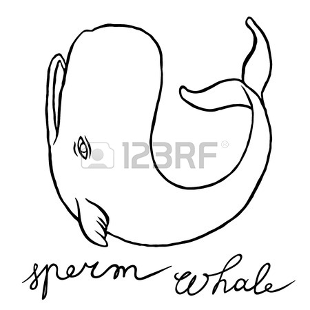 Cute Whale Drawing