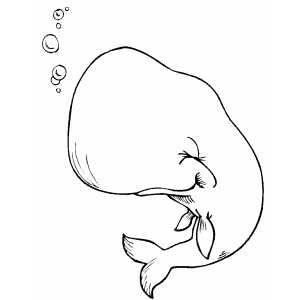 300x300 Cute Whale Coloring Page Under The Sea Stitch