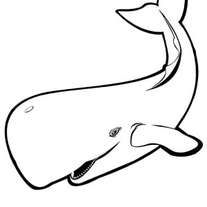 300x300 Whale, Whale Coloring Page Whale Coloring Page Kellan