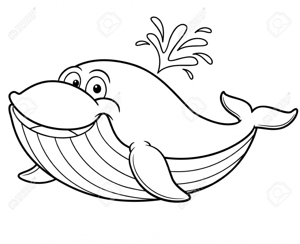 1024x832 Cartoon Drawing Whale Images About Drawing