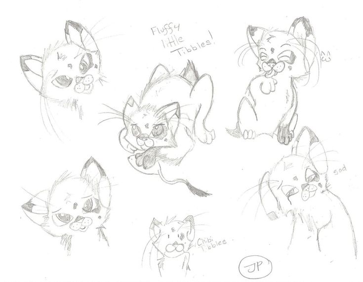 735x571 The Best Cute Wolf Drawings Ideas On Cute Faces