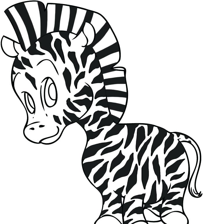 699x773 Cute Zebra Coloring Pages Image Of Cute Zebra Coloring Pages Cute