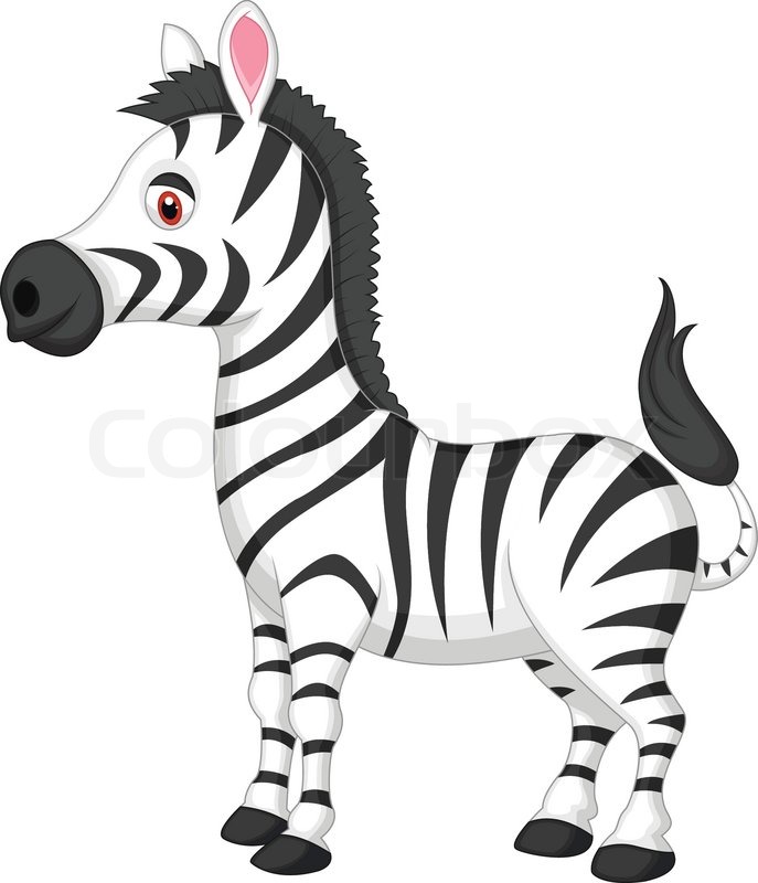 687x800 Baby Zebra Cartoon Vector Illustration Of Cute Zebra Cartoon