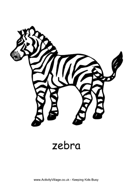 460x660 Zebra Colouring Page 3