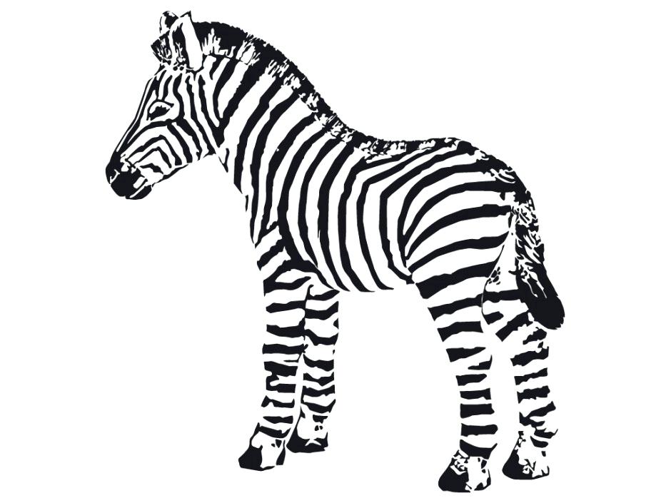 940x705 Beautiful Zebra Coloring Page Image Cute Free Pages Of Zebras