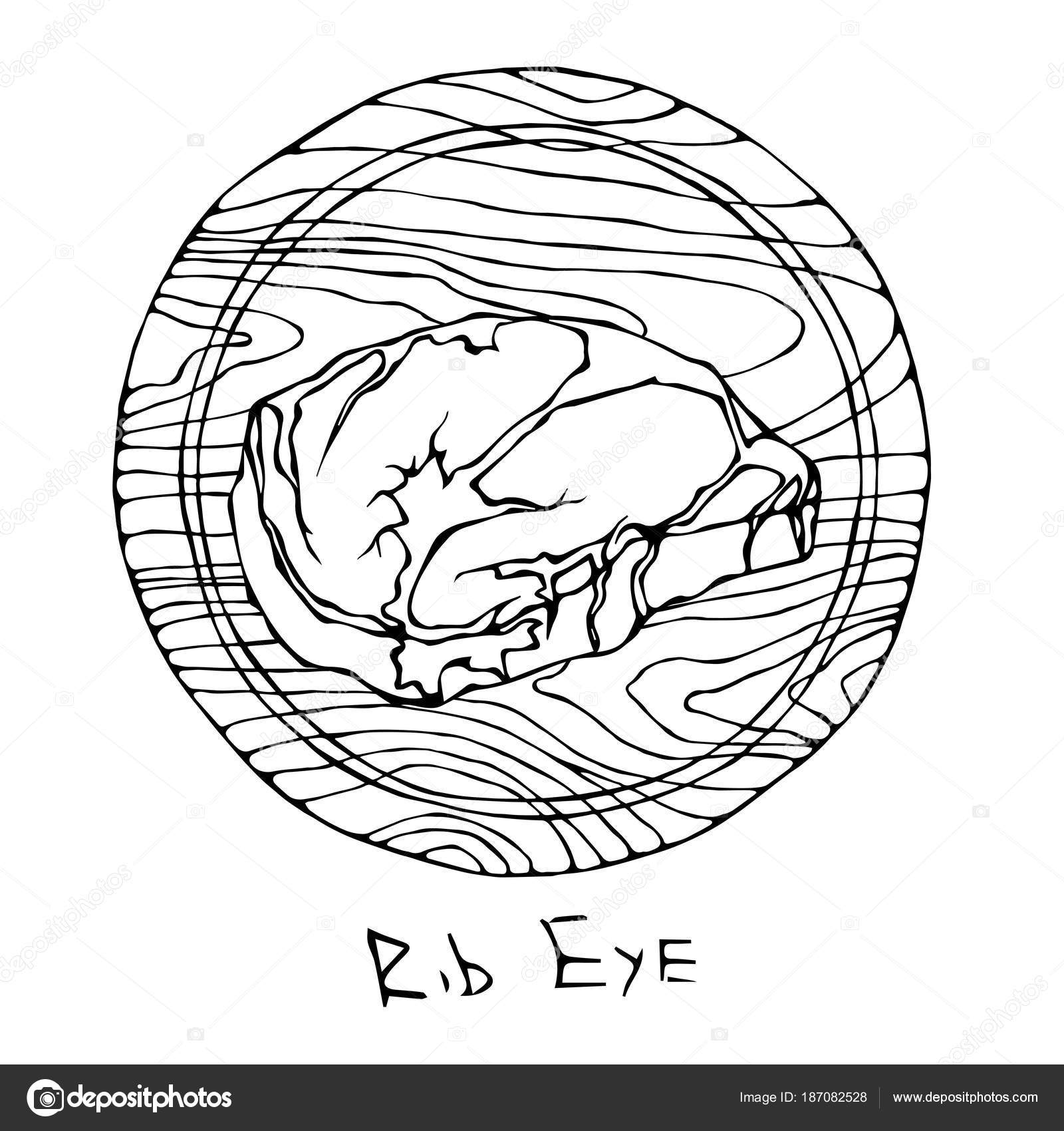 1600x1700 Popular Steak Rib Eye On A Round Wooden Cutting Board. Beef Cut