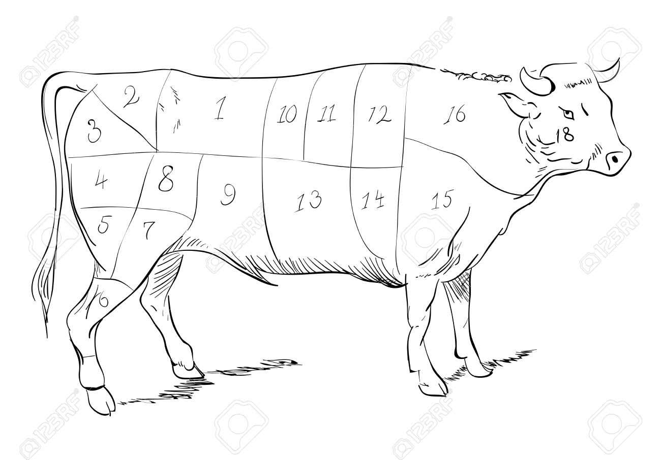 1300x906 Vector Drawing Of A Beef With Cutting Parts Royalty Free Cliparts