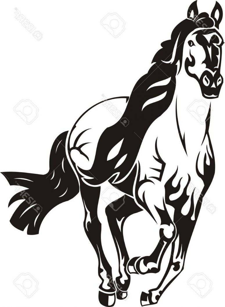 775x1058 Beautiful Horse Vector Illustration Ready For Vinyl Cutting Stock