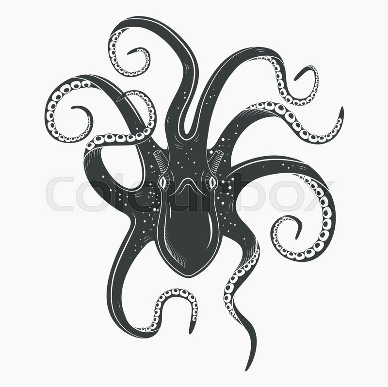 800x798 Upside Down View On Octopoda Or Octopus With Curvy Tentacles