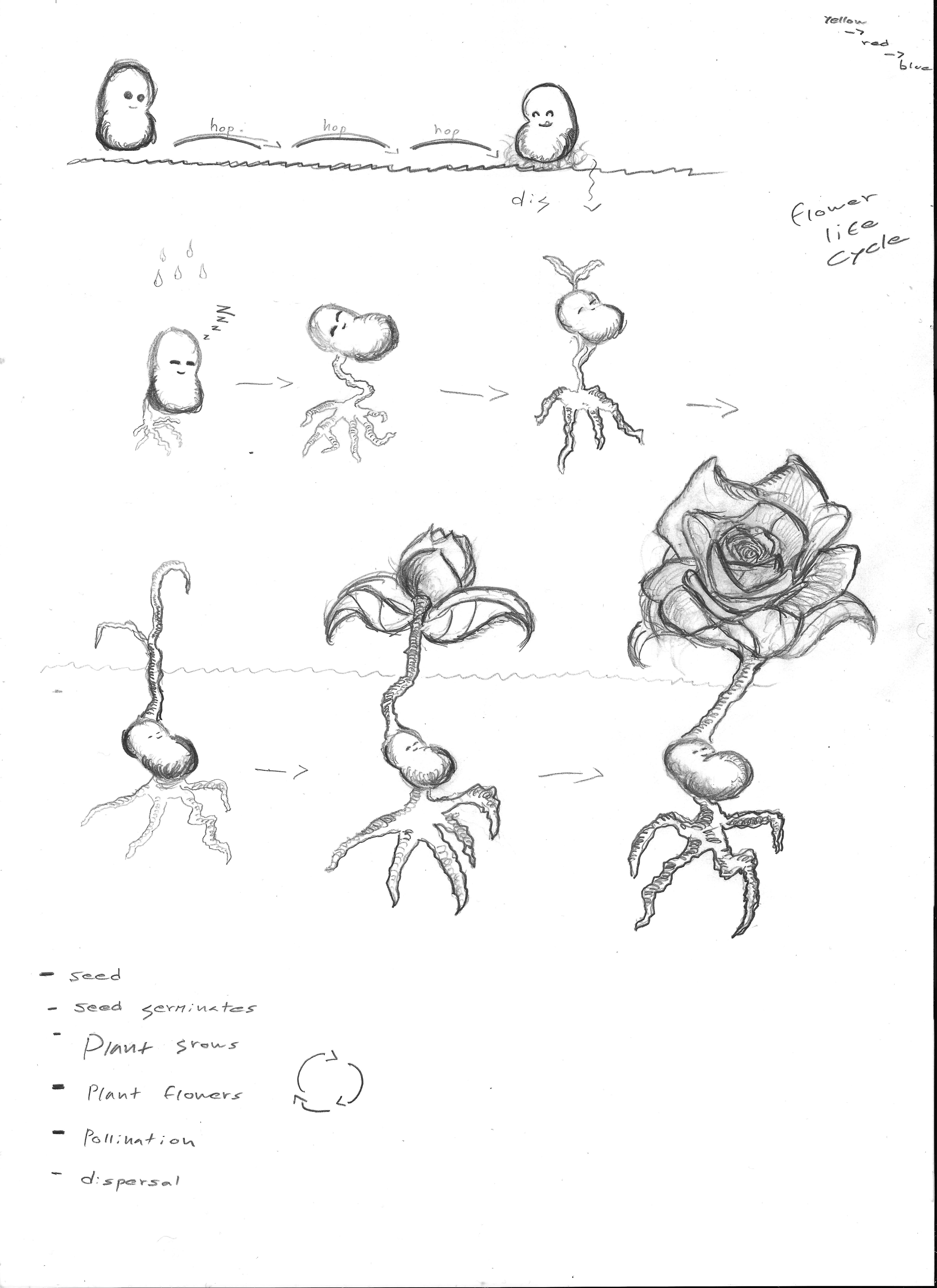 5100x7014 Flower Life Cycle I Pablo Pastulio