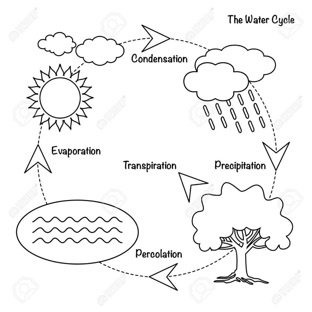 1024x1024 Water Cycle Clipart Wiring Diagramssymbols