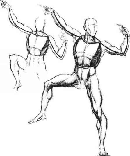 447x537 The Arms Are Third In Importance