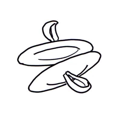 400x400 Ravinia Festival Official Site Kid Zone Instrument Game