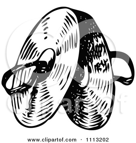 450x470 Royalty Free (Rf) Clipart Of Cymbals, Illustrations, Vector