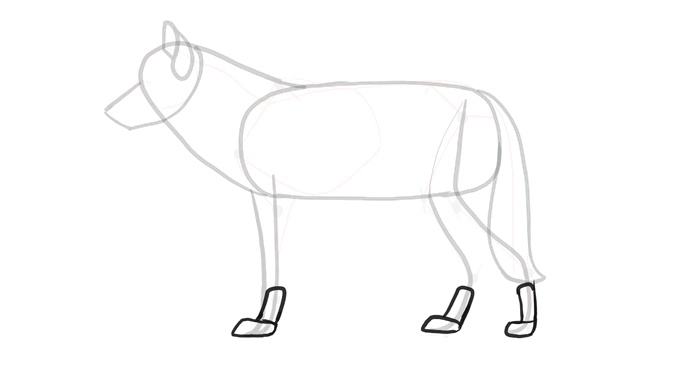 688x365 How To Draw A Wolf Head And Shoulders, Knees And Paws