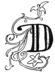 214x288 The Letter D