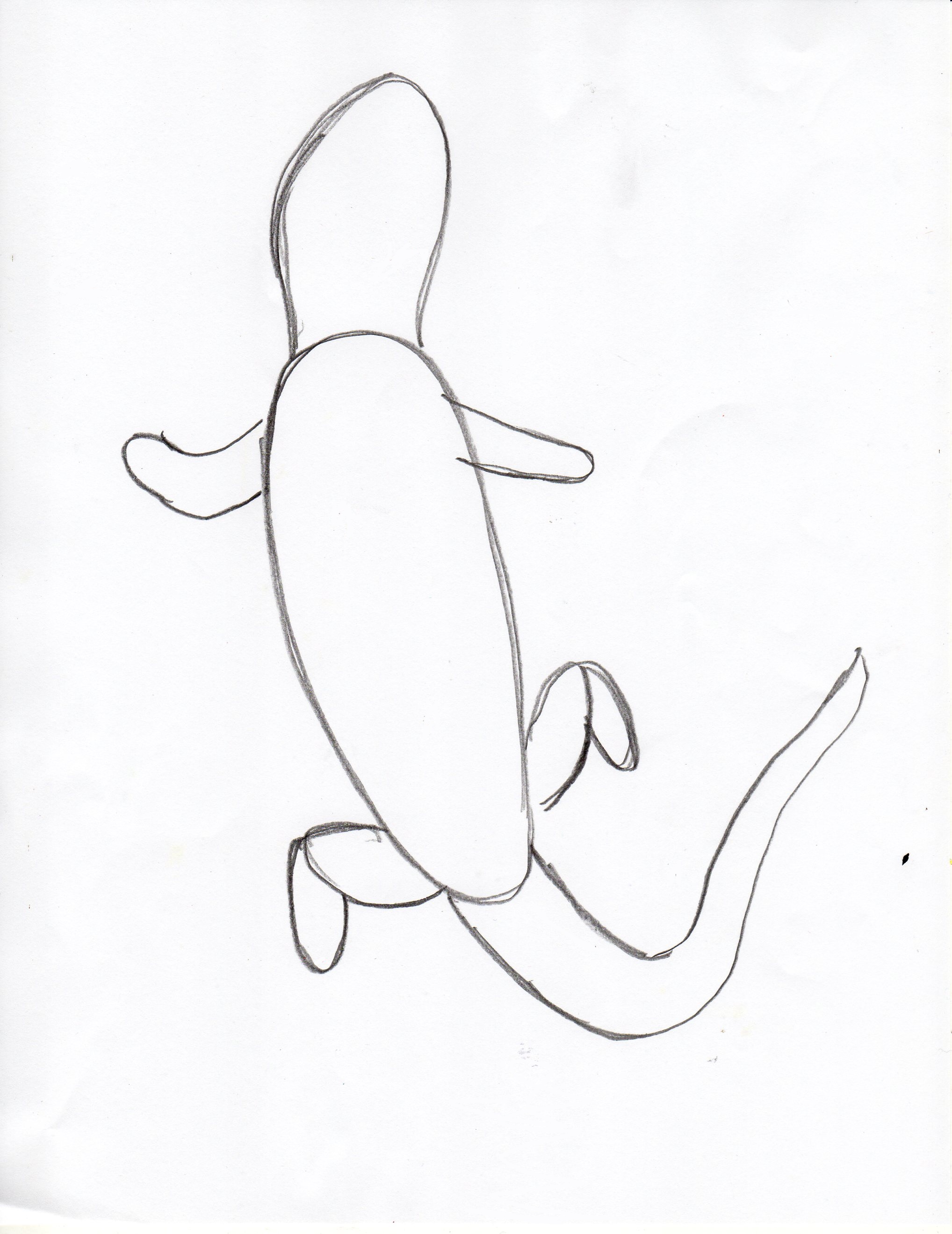 2036x2639 Draw A Gecko Step By Step