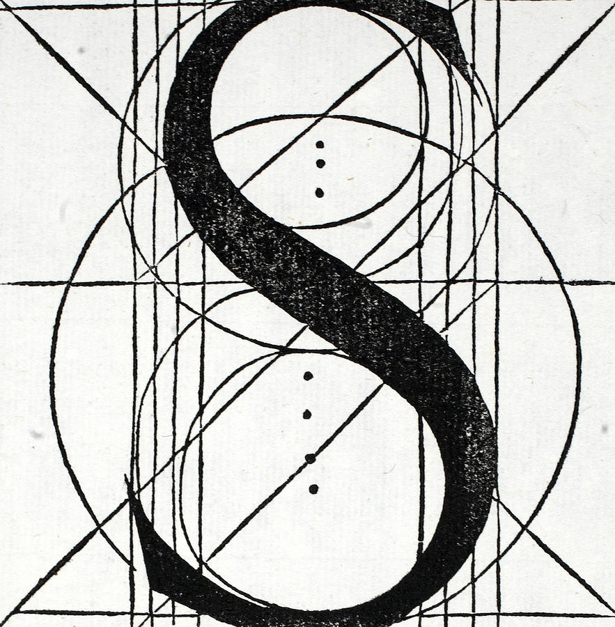 883x900 Letter S Drawing By Leonardo Da Vinci