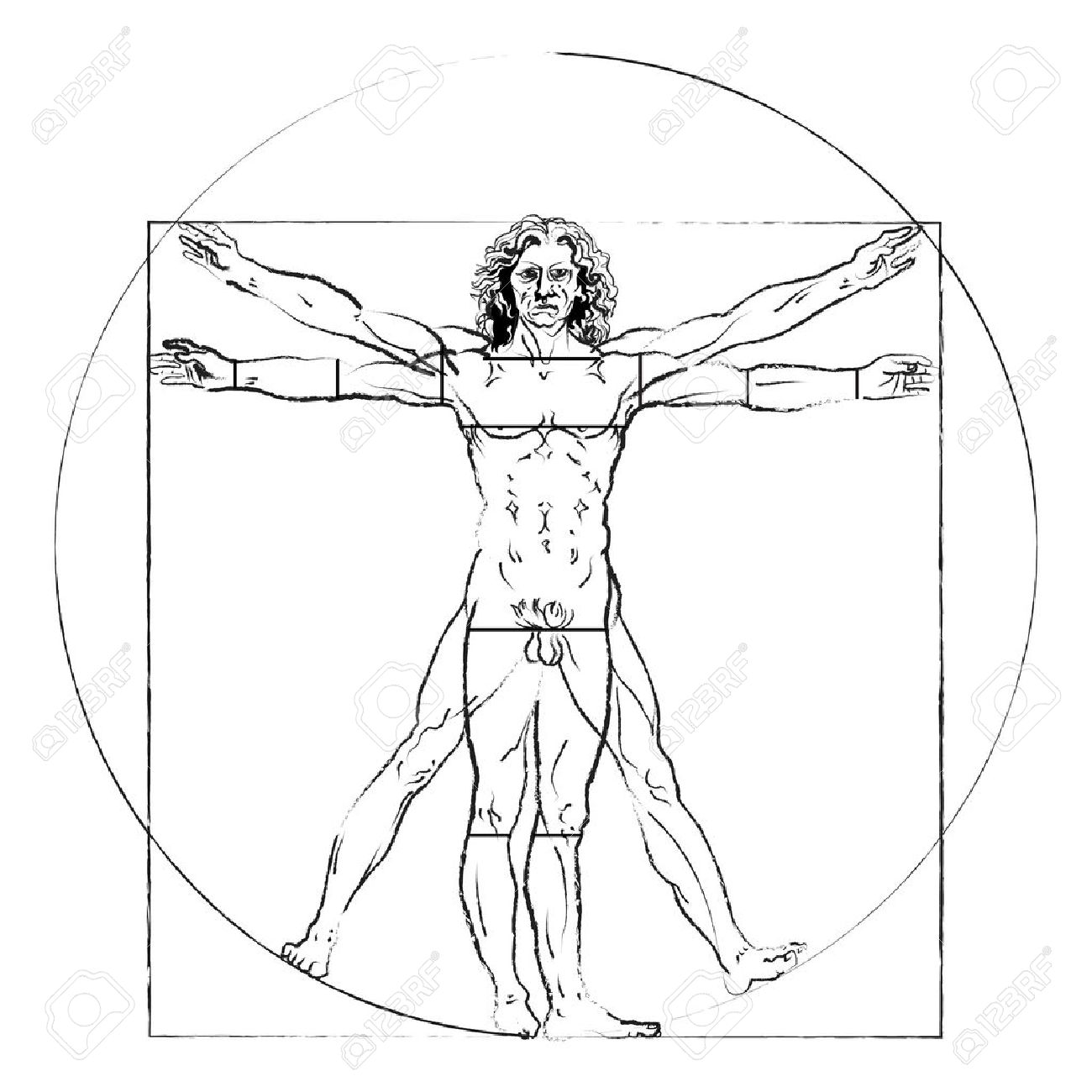 1300x1300 The Vitruvian Man. Leonardo Da Vinci