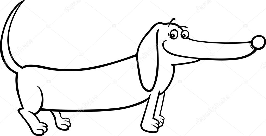 1022x523 Dachshund Dog Cartoon For Coloring Stock Vector Izakowski