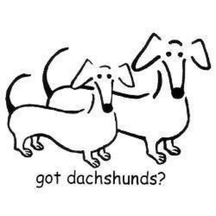 720x720 86 Best Dachshund Cartoons Images On Dachshund Dog