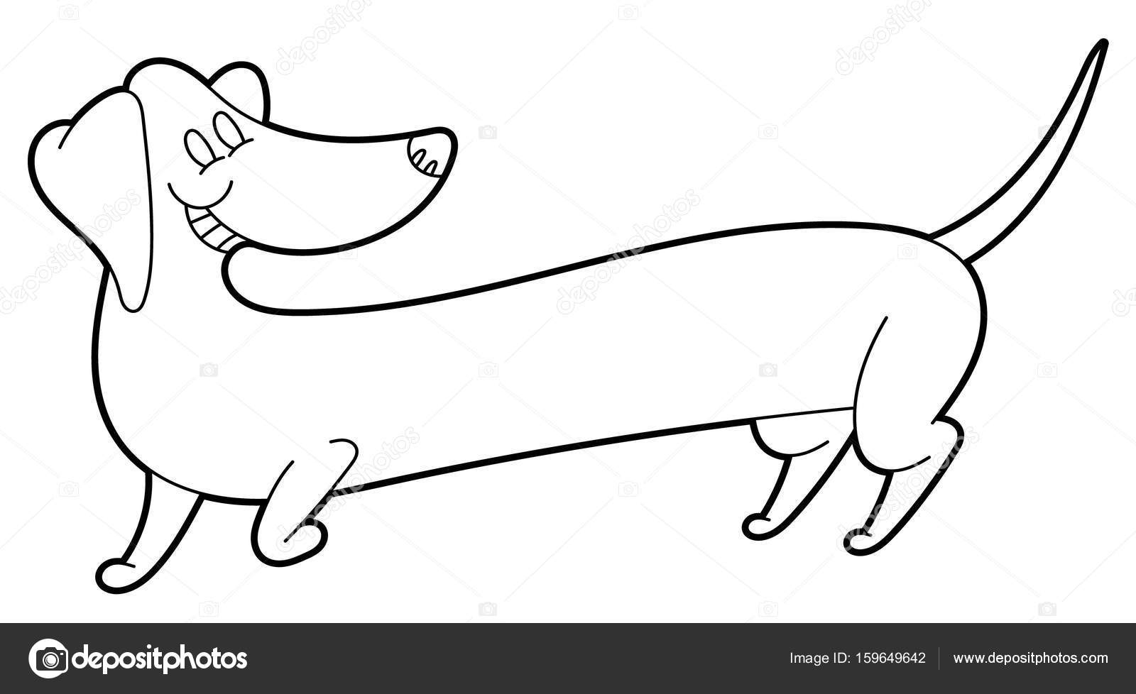 1600x978 Cute Cartoon Long Dachshund Stock Vector Annasuchkova