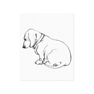 324x324 Dachshund Sketch Gifts On Zazzle
